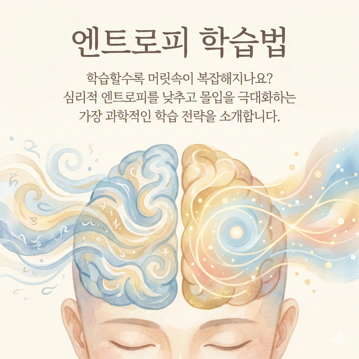 엔트로피 학습법 표지