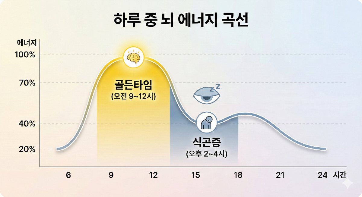 하루 중 뇌 에너지 곡선